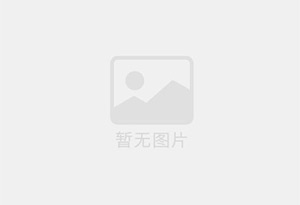 沧州小枣